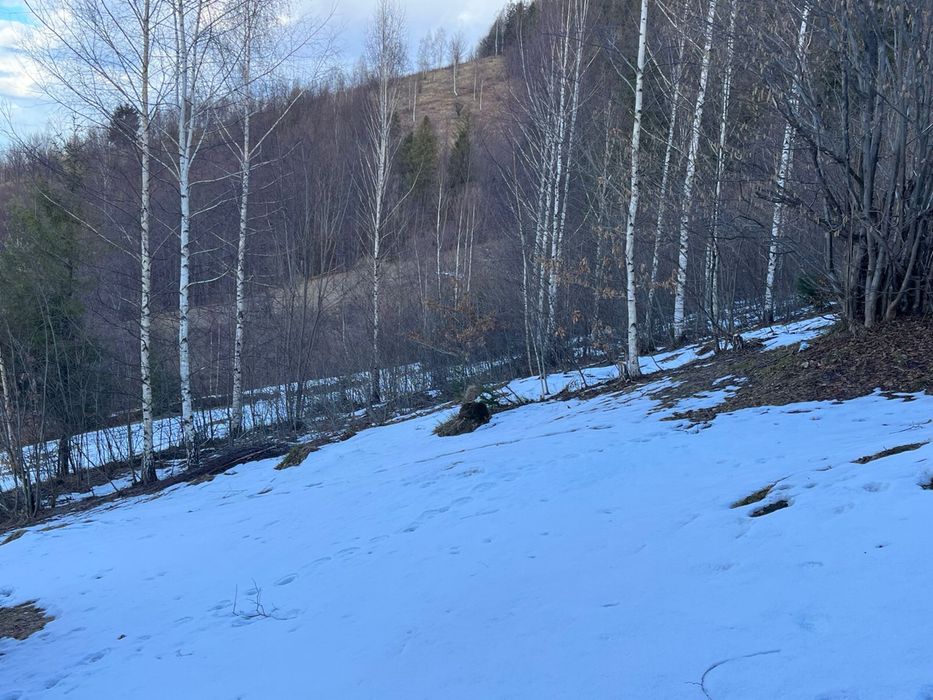 Продається земельна ділянка