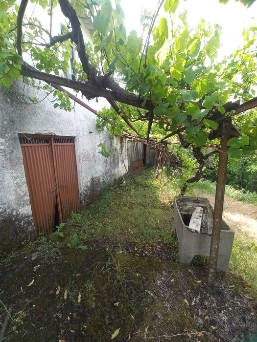 Casa antiga  geminada em plenas minas tuela