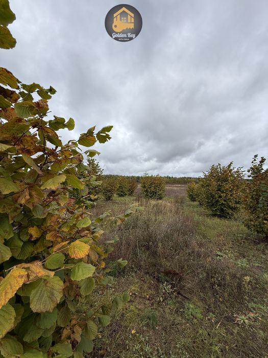 Продам 1.4га під садівництво, засаджено горіхами, бізнес, 40кмКиїв