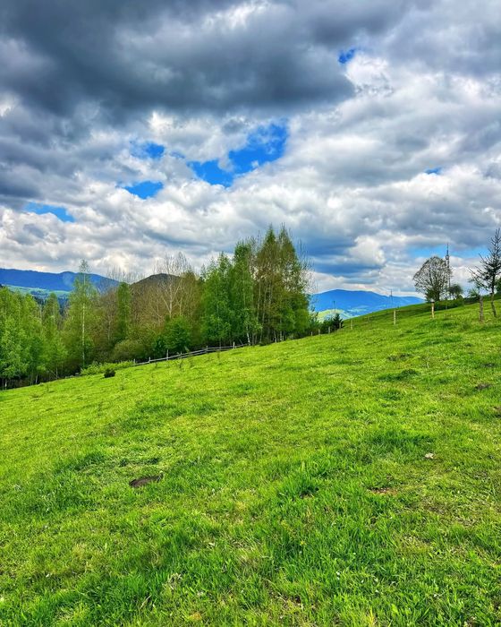 Продається земельна ділянка 94 сотики в Верховині присілок Пушкарі.