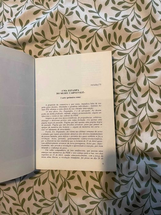 Cenas Parlamentares de Victor Silva Lopes | Humor e política