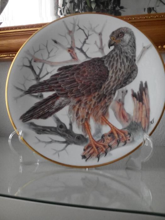 !! Milhafre áve coleçao assinado pintádo mão !!