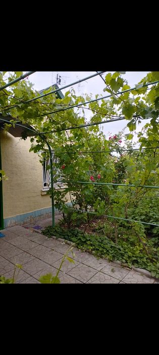 Продам дачу Запорожье Левое