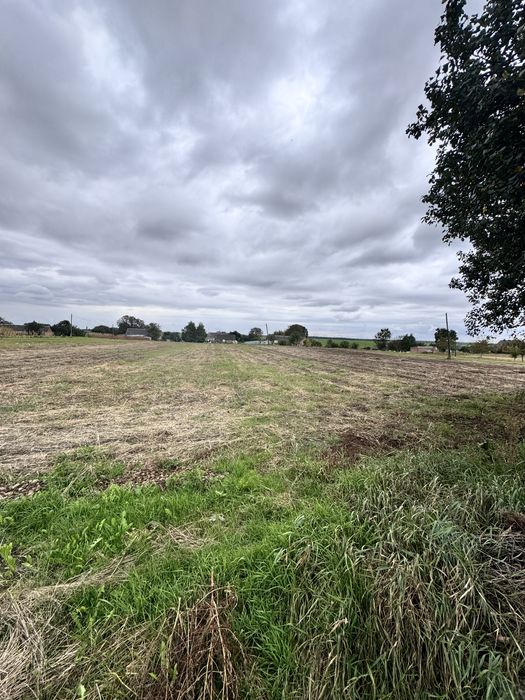 Продаж ділянки 50 сотих с.Романів