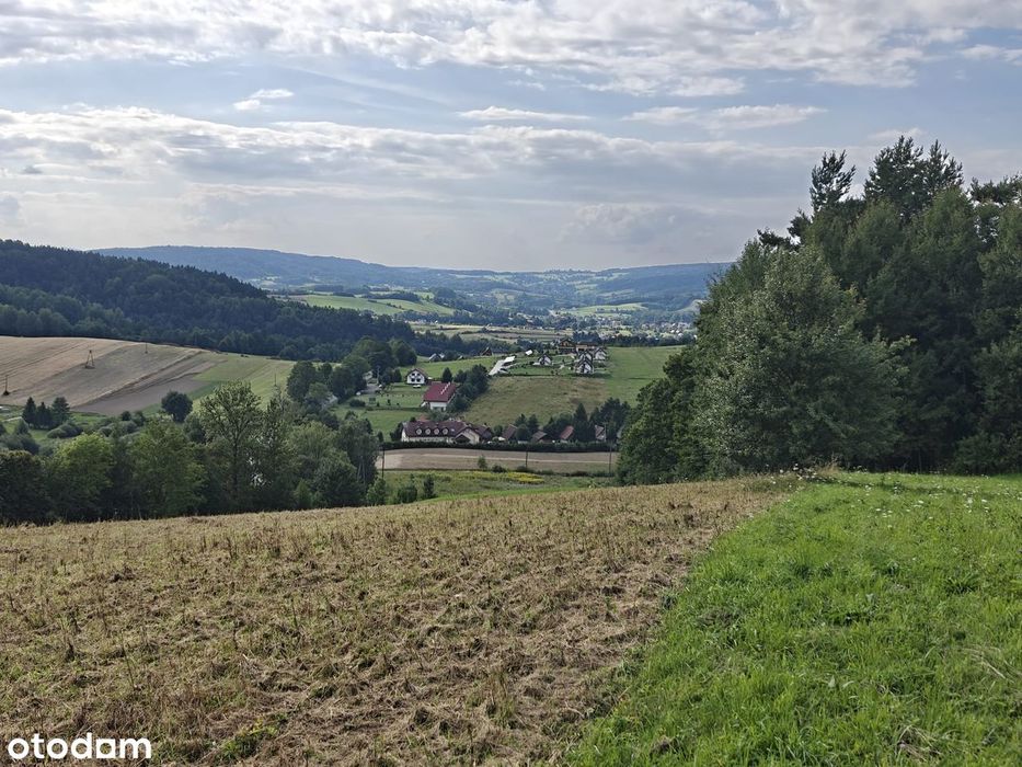 Działka komercyjna 9221 m² blisko lasu i jeziora