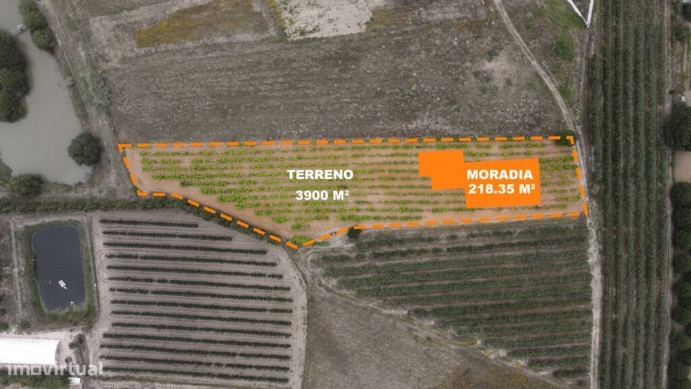 Venda Terreno