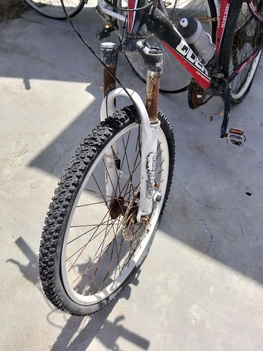 Lote de 3 bicicletas
