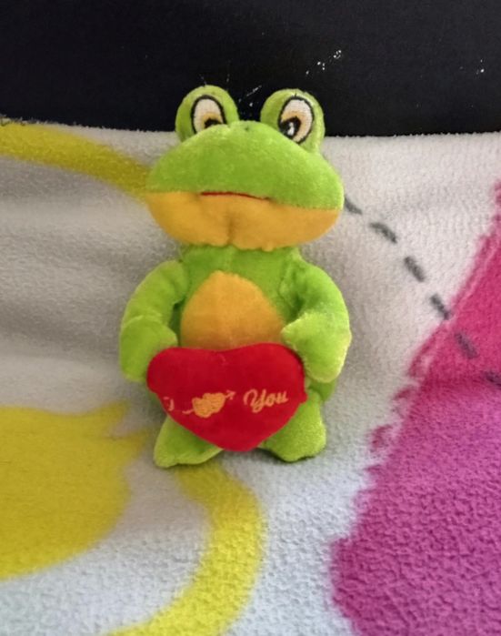 Mała Pluszowa Żaba