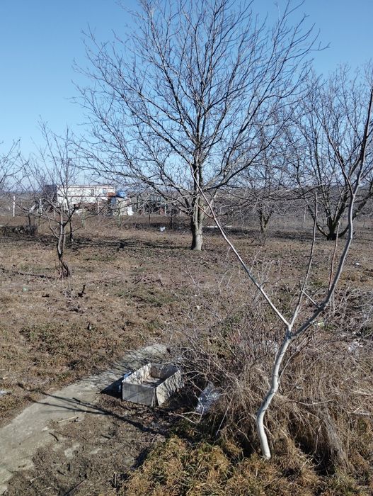Дом по адресу (площадь 48 м²) - Atlanta.ua - фото 4
