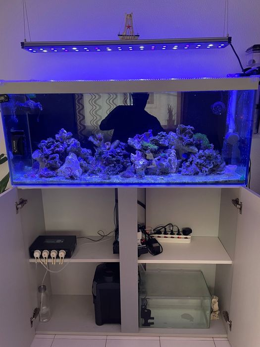Vendo Aquario + Móvel 240L