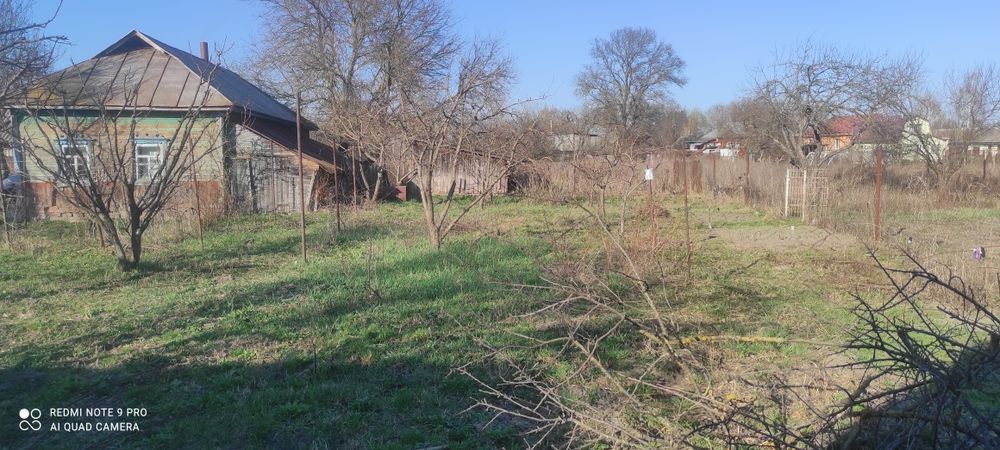 Продам будинок по близу Чернігова з доглянутим садом і городом.