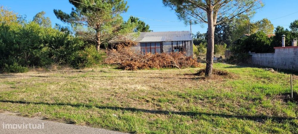 Armazém com terreno
