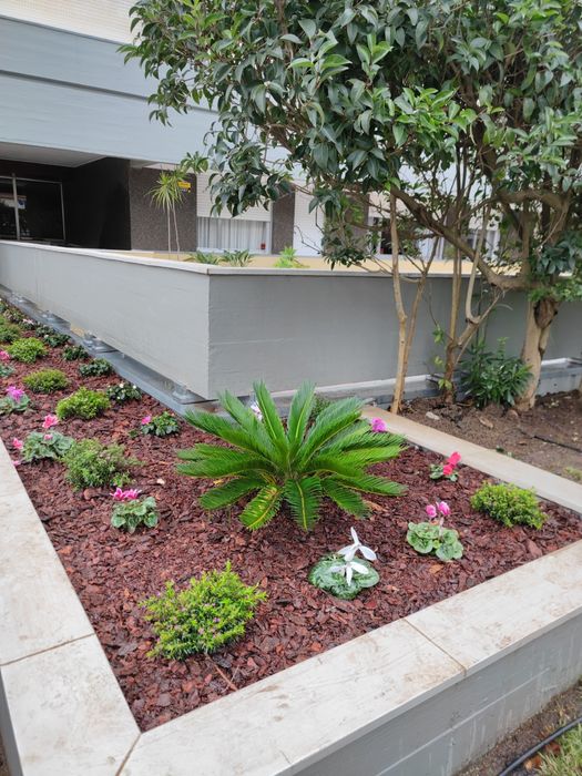 André Pinto Serviços de Jardinagem