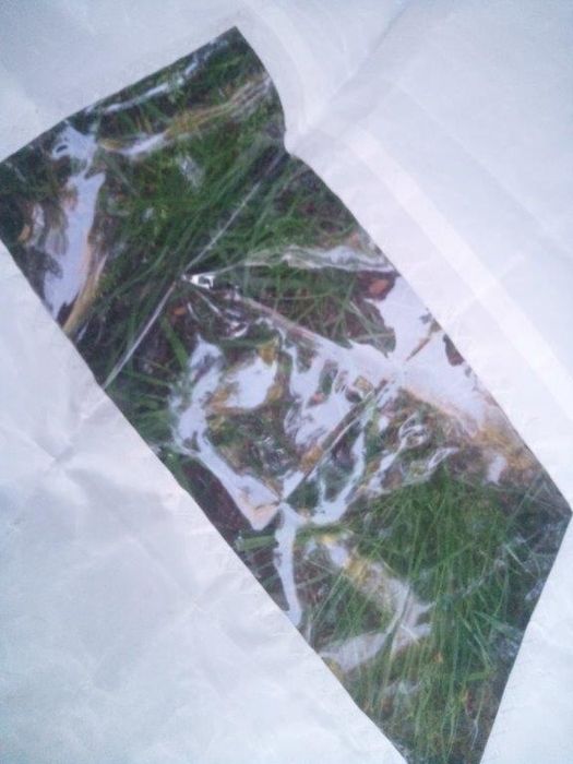 Kompletny system  rollera do katamaranu