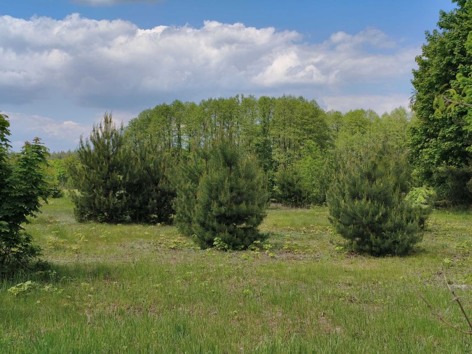 Sprzedam Działkę Rolno-Budowlaną w miejscowości Kamienowola powiat Lubartowski