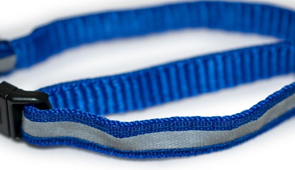 Нашийник, ошейник для кота, собаки, светоотражающая полоска