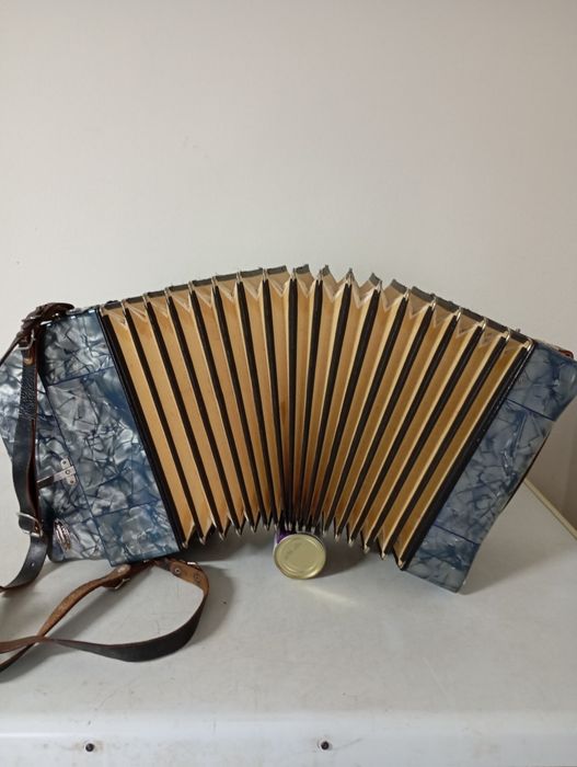 Concertina Norma | | |