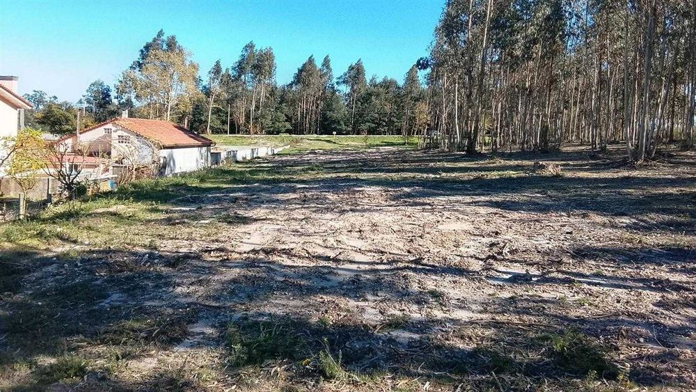 terreno em tondela naia