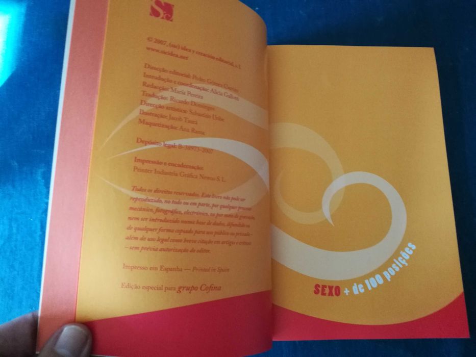 Sexo + de 100 Posições - Alicia Gallotti