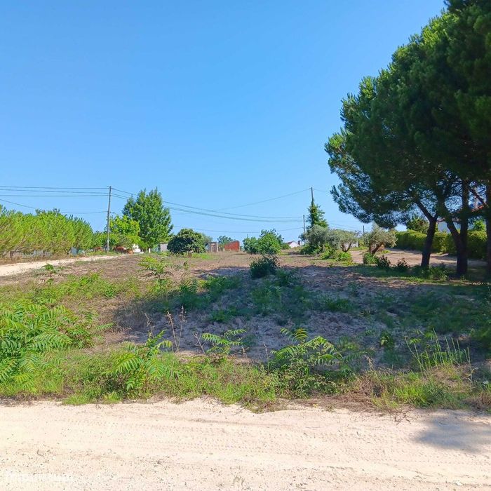 Fazenda 5000m2 de Terreno em Foros Vale Verde – Coruche — Coruche, Fajarda E Erra, Santarém