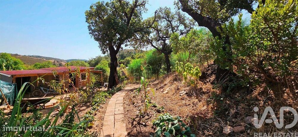 Terreno T1 em Barão de São Miguel de 10960,00 m2