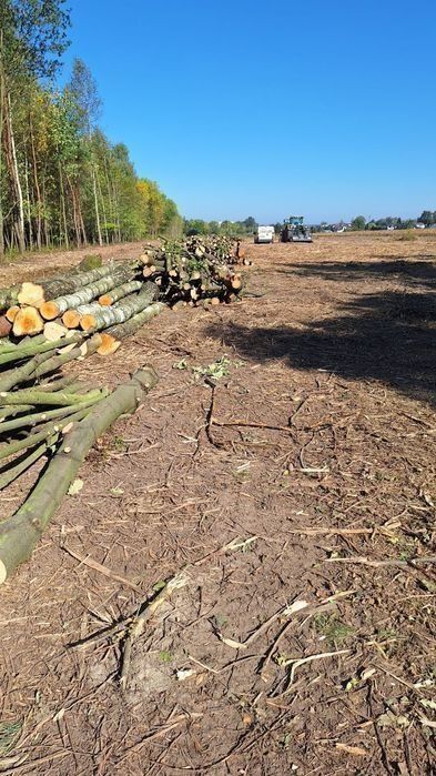 Wycinka drzew za materiał drzewny od 0,5 ha  Mulczowanie powierzchniowe, Mulczowanie wgłębne, Rekultywacja,Mulczer,Pozyskiwanie biomasy drzewnej