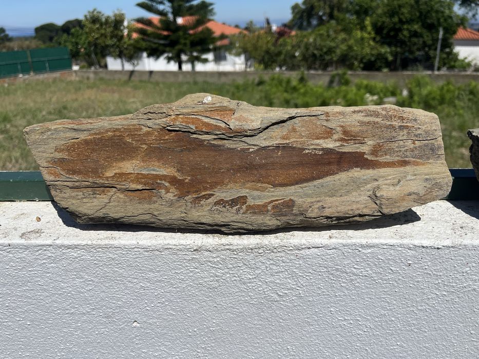 Pedra de xisto para aquário.  Comprimento 37 cm e altura 12 cm.