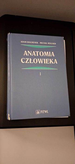 Anatomia człowieka Tom I / Tom 1 Adam Bochenek Michał Reicher