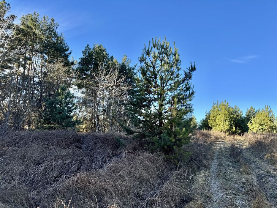 Земельна ділянка 8 Га! Ясногородка!