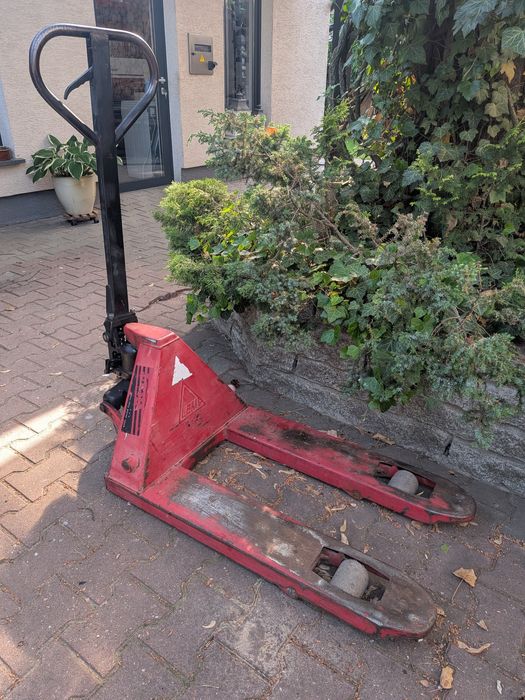Paleciak Lema krótki