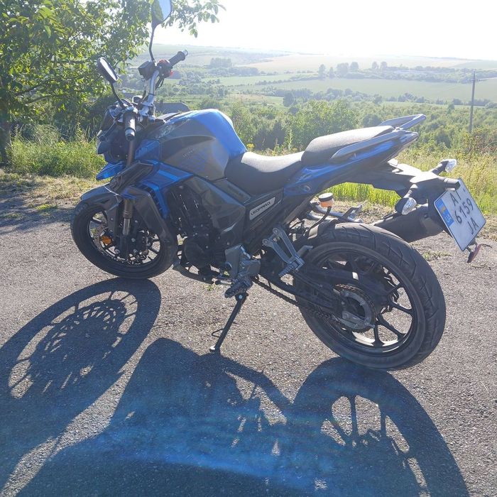 Senke leopard 300