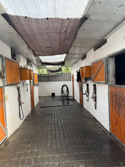 Aceitamos cavalos a penso