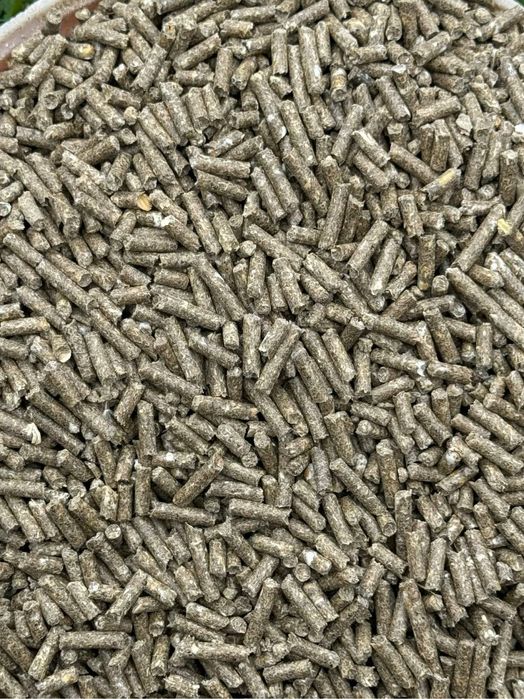 Корм для кроликів