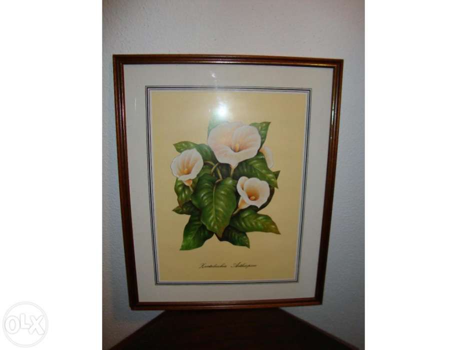 Quadros (lote de 10)