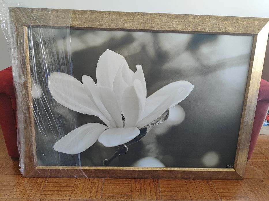 Tela Ikea Magnólia Preto e Branco com moldura  dourada