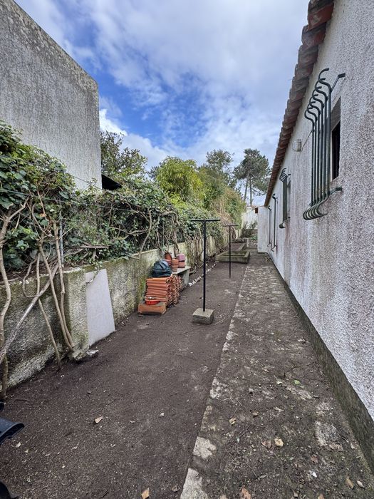 Serviços de jardinagem