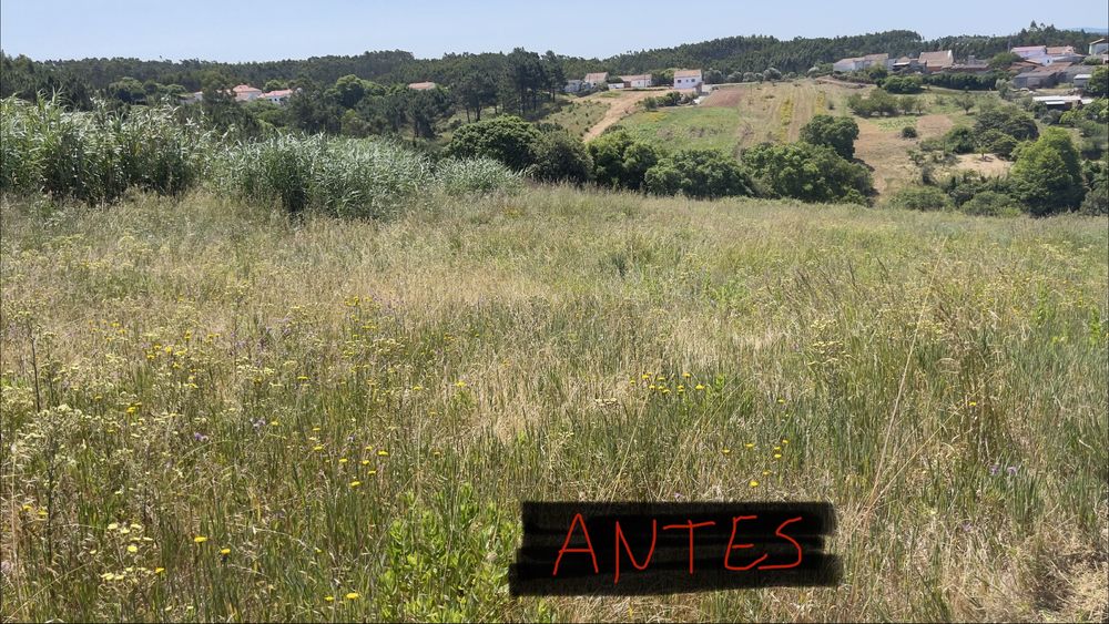 Serviço de mini giratória