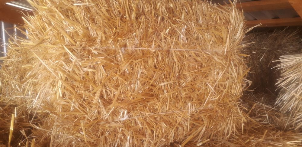 Тюки соломи  пшеничної ячміної декорації