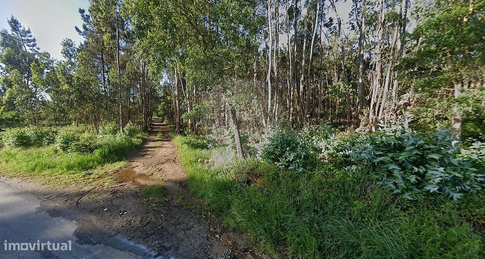 Terreno  para venda — Nossa Senhora da Piedade, Santarém