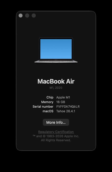 MacBook Air M1 16 Gb 256