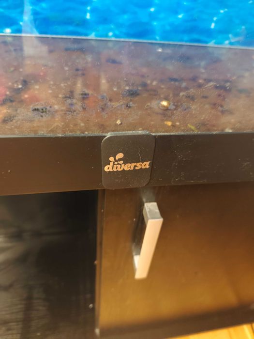 Akwarium 200 l z szafką diversa