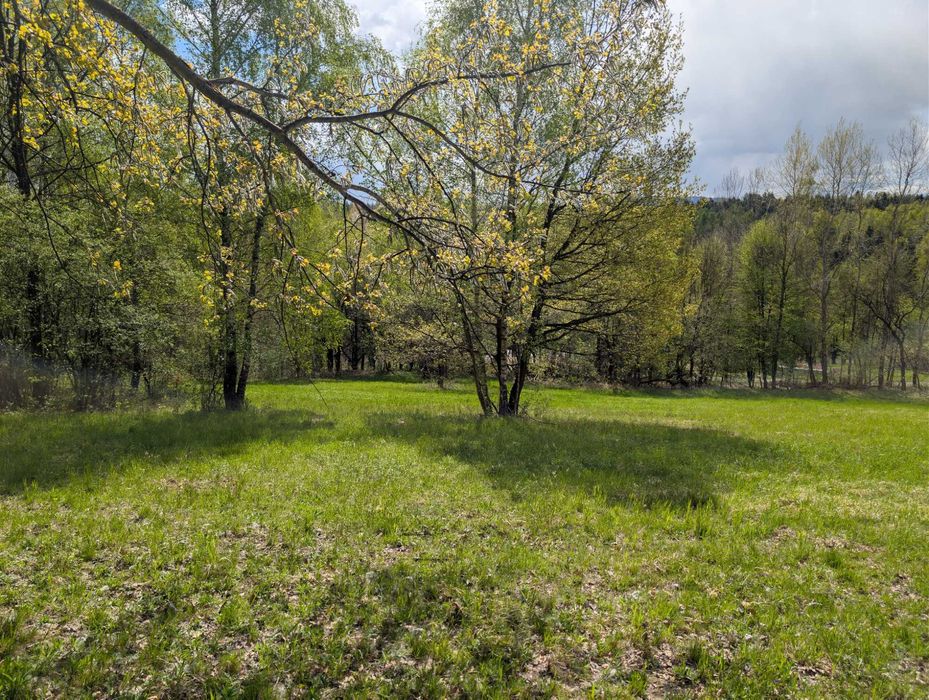 Działki budowlane na sprzedaż gmina Łapanów - Widok 3
