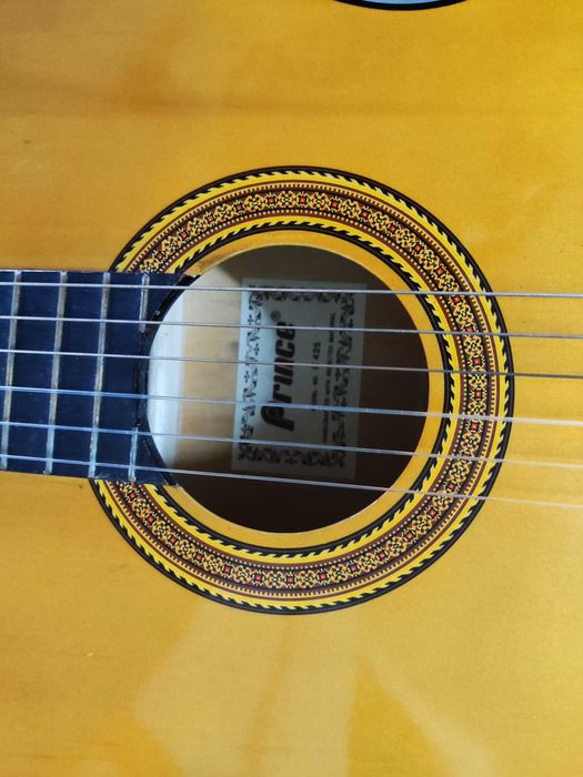 Viola castanha com capa