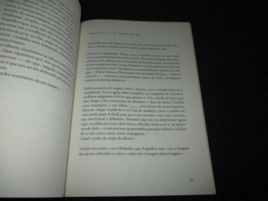 Livro Os Cantores de Leitura Maria Gabriela Llansol