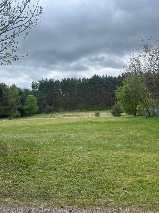Działki budowlane Pszczelnik