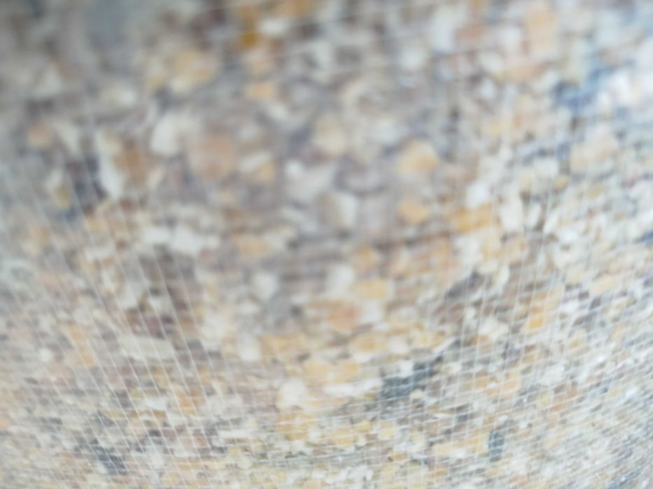 Ração para galinhas e galos