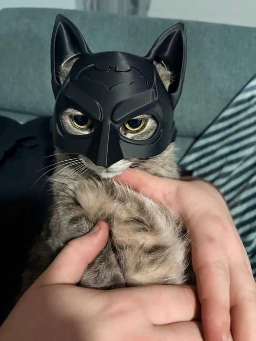 Máscara para gato do Batman (IMPRESSO EM 3D)
