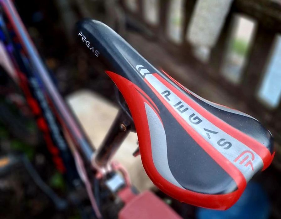 Велосипед Pegas Burst 26"