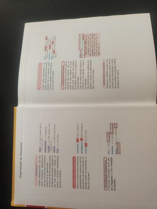 Dicionário Jovem Ilustrado - Português-Inglês