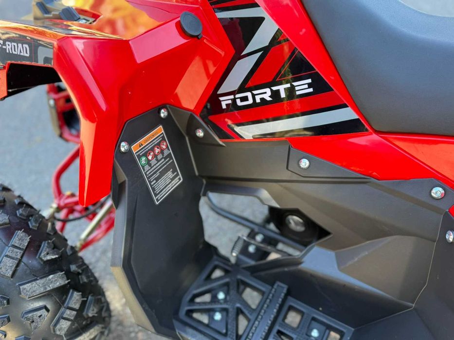 New Квадроцикл FORTE AFF125PRO